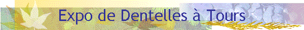 Expo de Dentelles � Tours