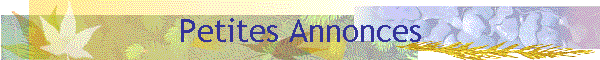 Petites Annonces